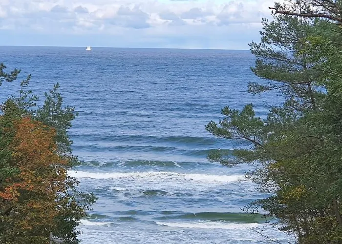 Amko Style Nord 8 Z Ogrodkiem Nord *